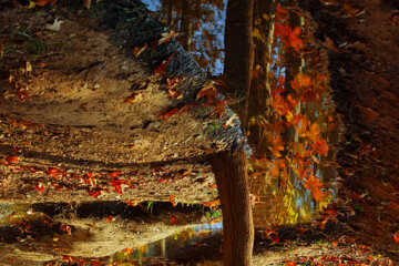 Ispahan, aux couleurs de l’automne 