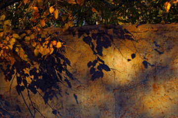 Ispahan, aux couleurs de l’automne 