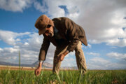 ۱۴۱طرح منظومه روستایی در گچساران اجرا شد