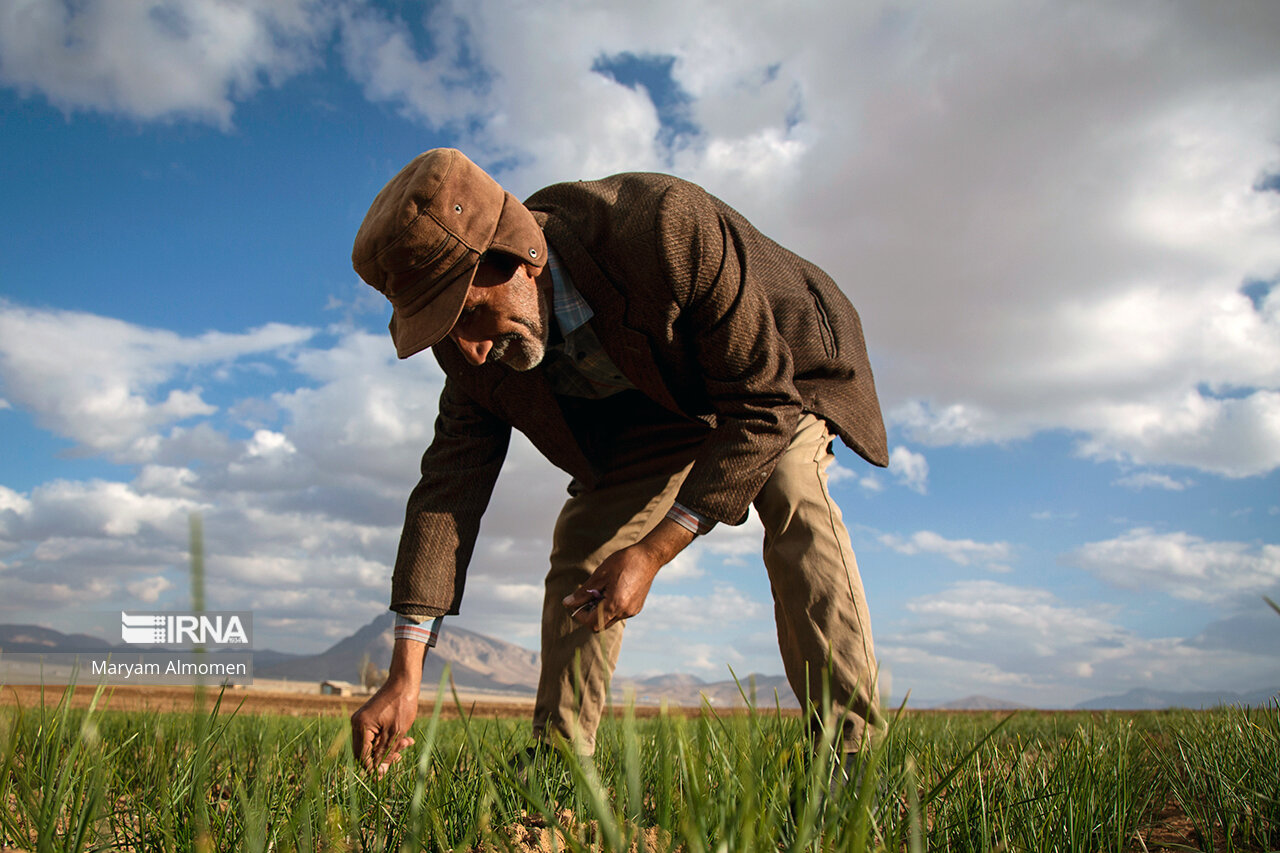 ۱۴۱طرح منظومه روستایی در گچساران اجرا شد