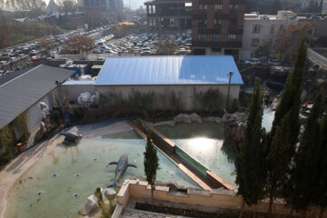 Inauguration d’un parc aquatique à Téhéran 