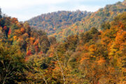 Die letzten Herbsttage in Wäldern von Gilan