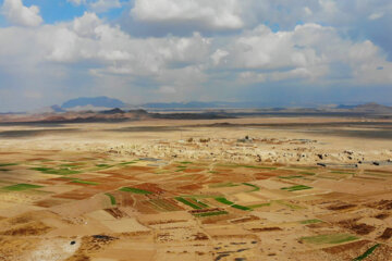 La saison de récolte du coton dans la province du Khorasan du Sud