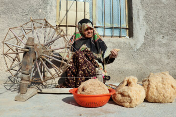 La saison de récolte du coton dans la province du Khorasan du Sud