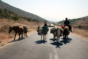 نوای چشمه