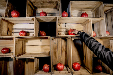 Exposición de la noche de Yalda en Teherán
