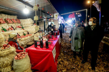 Exposición de la noche de Yalda en Teherán
