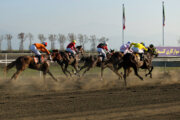 هفته دوم مسابقات اسب دوانی کورس بهاره کشور در یزد برگزار شد