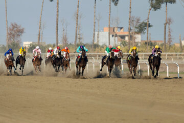 رقابت ۵۲ اسب در آغاز کورس پاییزه اسبدوانی گنبدکاووس