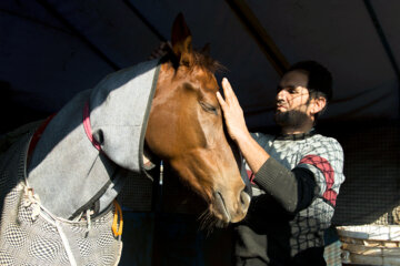 Iran : la course de chevaux d’automne 2022 à Gonbad-e Kavous au nord