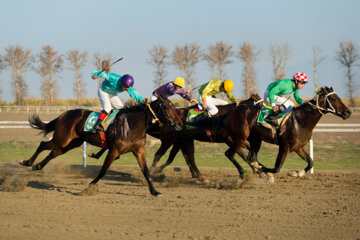 اسب‌های برتر مسابقات اسبدوانی گنبدکاووس مشخص شدند