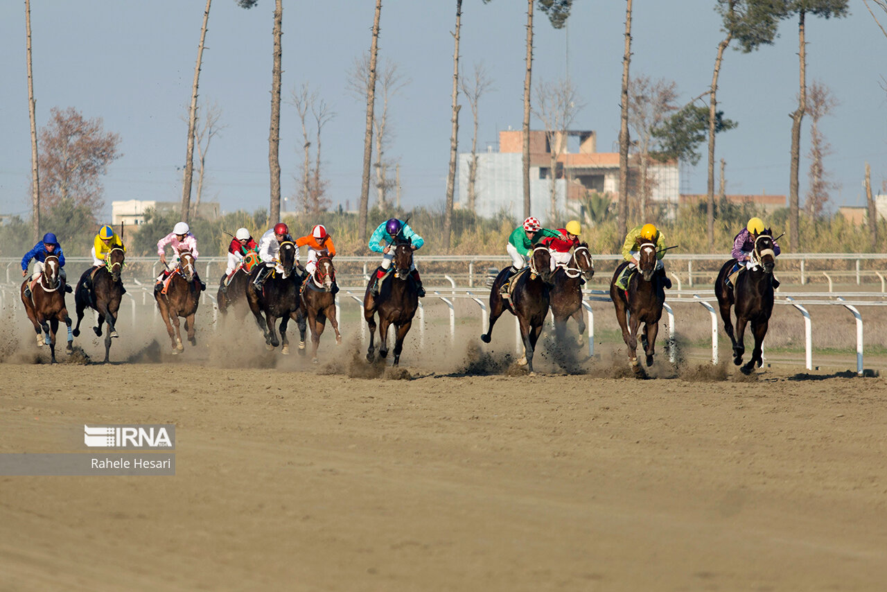 رقابت ۷۴ راس اسب در آغاز هفته سیزدهم مسابقات اسبدوانی گنبدکاووس 