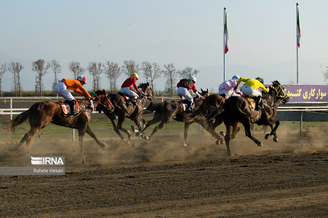 رقابت ۸۲ راس اسب در آغاز هفته چهارم کورس اسبدوانی گنبدکاووس