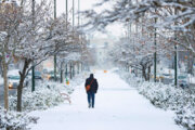 Llega la primera nieve invernal a Zanyan

