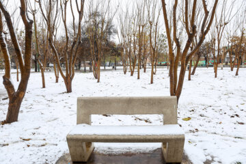 La nieve cubre de blanco Qazvin
