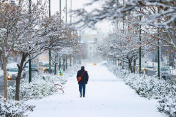 Llega la primera nieve invernal a Zanyan
