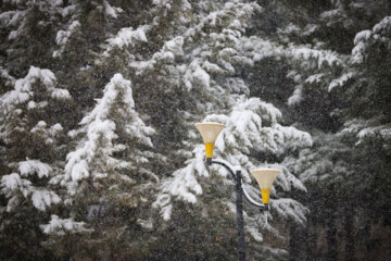 Llega la primera nieve invernal a Zanyan
