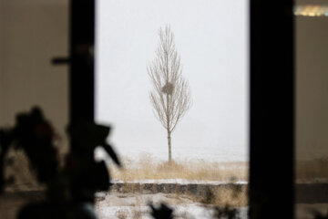 Llega la primera nieve invernal a Zanyan
