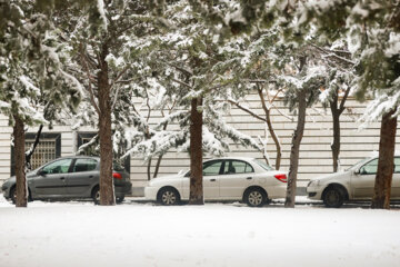 Llega la primera nieve invernal a Zanyan
