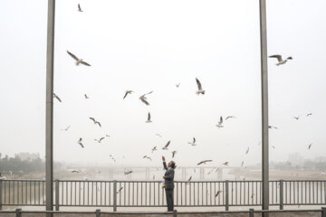 بهبود شاخص کیفیت هوا در اغلب شهرهای خوزستان 