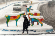 بارش شدید برف و باران و کولاک در ۱۲ استان