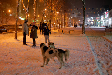 El invierno llega con su nieve a Sananday