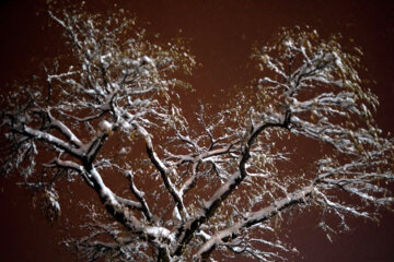 El invierno llega con su nieve a Sananday