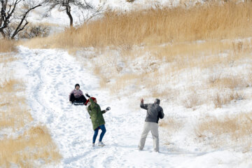 El invierno llega con su nieve a Sananday