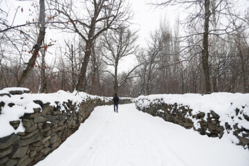 Hamedán da bienvenida a primeras nieves invernales