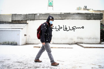 بارش برف در تهران بارش برف زمستان برف زمستانی فصل زمستان برف و یخ