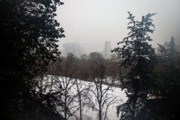Téhéran s’est réveillé sous une belle chute de neige 