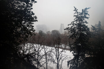 Teherán se viste de blanco por la nieve