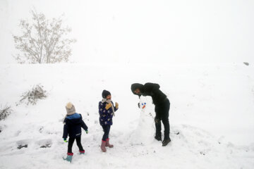 Teherán se viste de blanco por la nieve