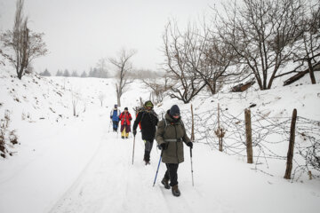 Teherán se viste de blanco por la nieve