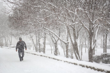 La nieve cubre de blanco Ardebil