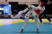 Liga de 1ª división de Taekwondo
