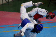 Iranische Taekwondo Premier League