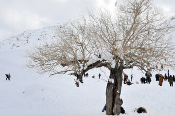 La neige continue de tomber en Iran : Yāsūj vêtu de blanc