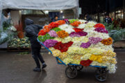 حضور فارس در بازارهای بین‌المللی گل با راه‌اندازی بارانداز گل‌های تزیینی