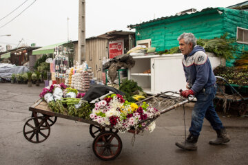 Téhéran: un marché aux fleurs pour la fête des mères