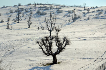 Naturaleza nevada de Rudbar en el norte de Irán
