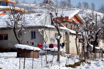 ایرانی شمالی علاقوں میں برفباری کے حسین مناظر