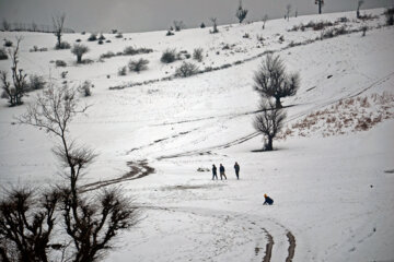 Naturaleza nevada de Rudbar en el norte de Irán
