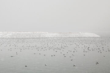 Fuerte nevada en Teherán
