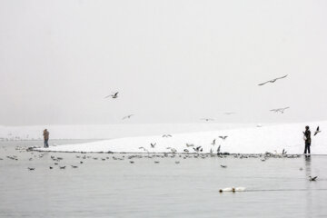 Fuerte nevada en Teherán
