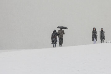 Fuerte nevada en Teherán
