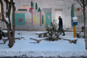 Тегеран под снегом