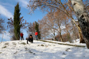 Snowy day in Tehran