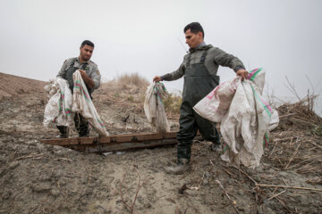  Alimentación de aves en el humedal de Hur al-Azim