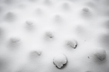 La nieve cubre de blanco Irán